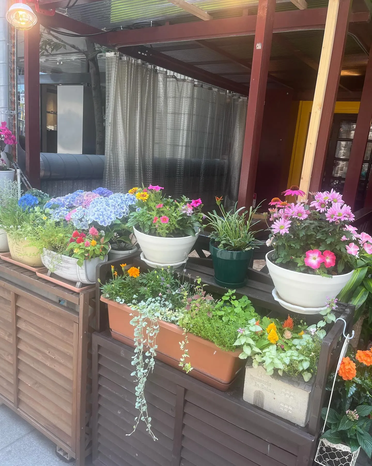 オシャレなテラス空間で素敵なお食事をお楽しみください😊🌿